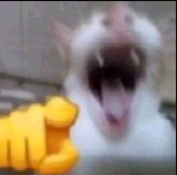 Ug5yU.png