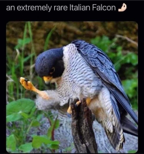 UQfTC.jpg