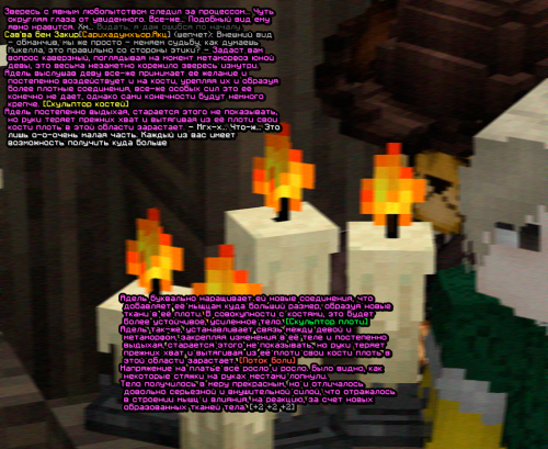 screen 2357