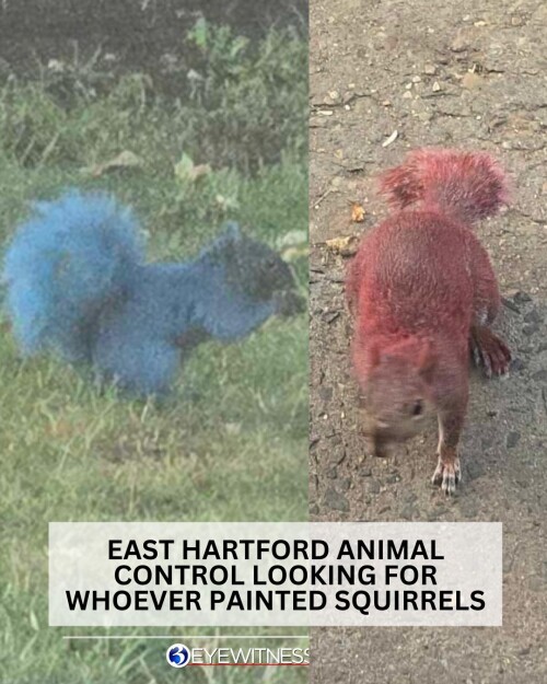 UO6ze.jpg