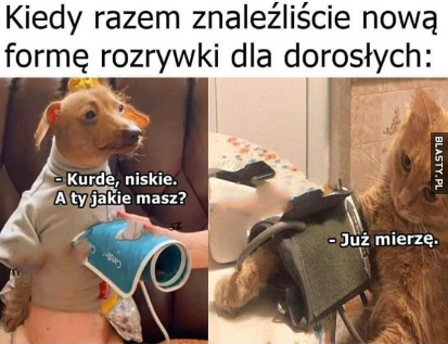 UOTMD.png