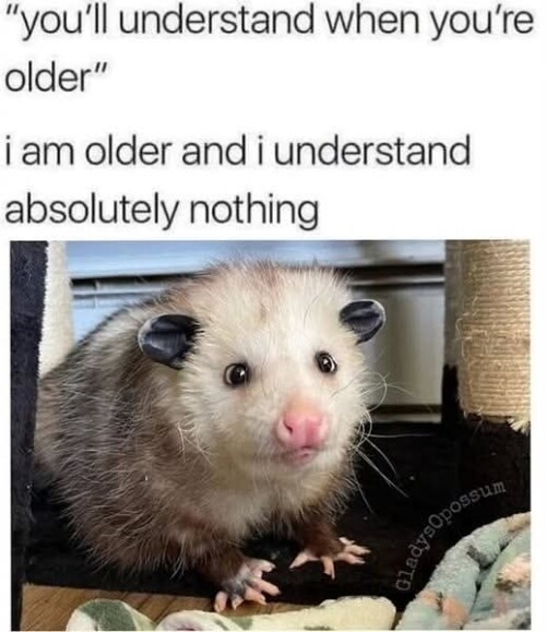 UqzQX.jpg