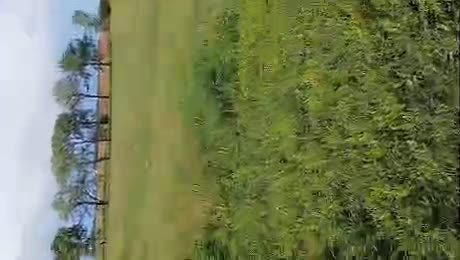UF0f6.mp4