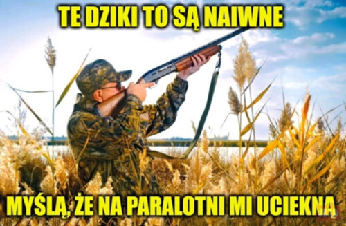 UtZov.jpeg