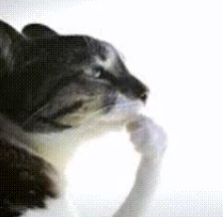 UYD5L.png