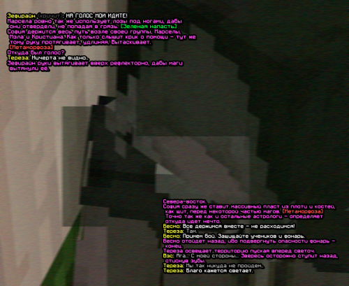screen 2417