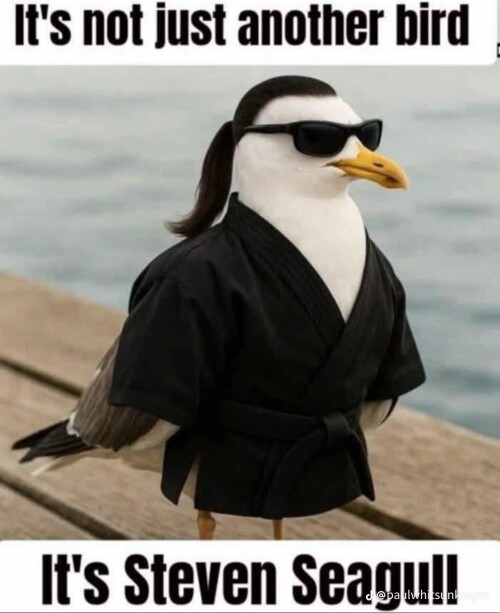 UunAr.jpeg