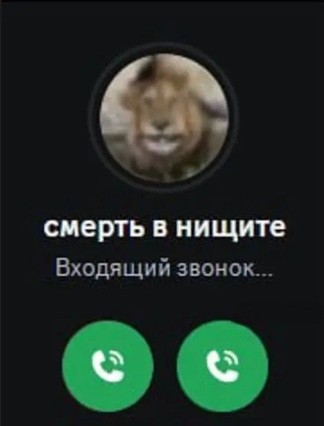 UJ8Tz.png