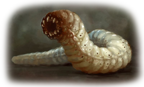 UoxpI.png