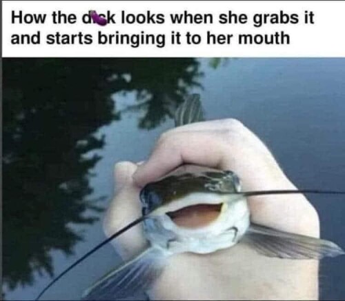 UyD6Y.jpg