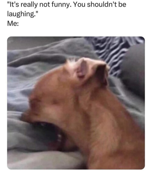 UMZRs.jpg