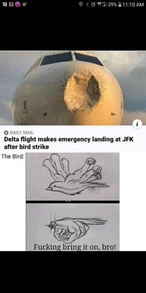 UD20G.jpg