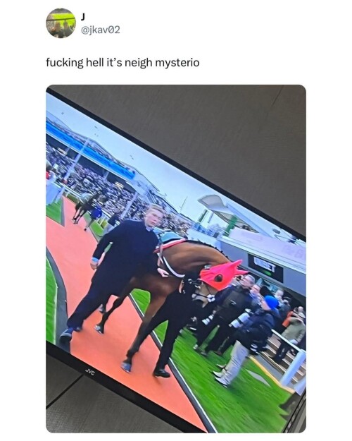USZYE.jpg