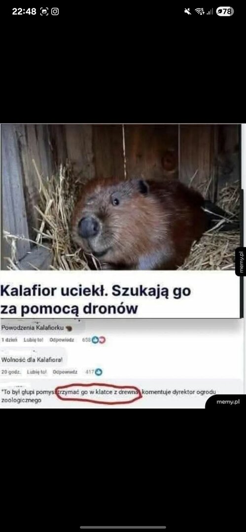 USuqO.jpg