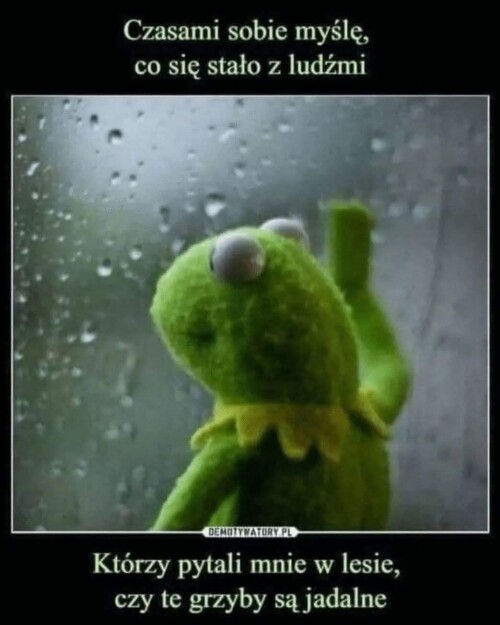 UXICo.jpg