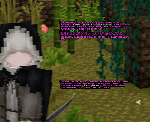 screen 2567