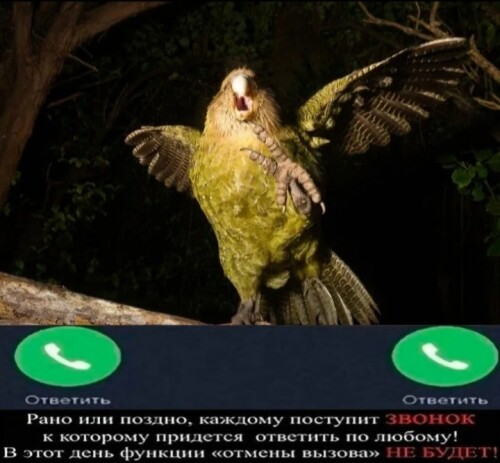 UfeGa.jpg
