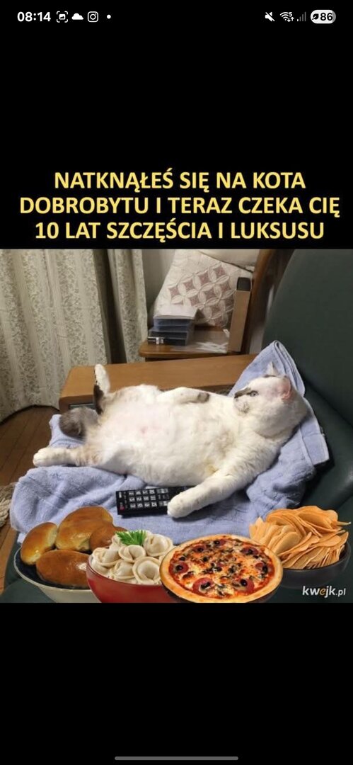 UfklN.jpg