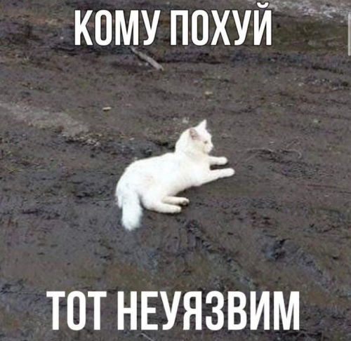 kPiLP.png