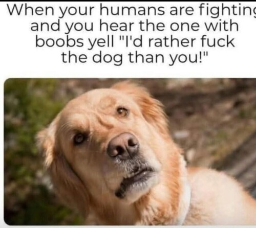 kUDmw.jpg