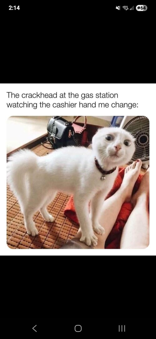 kUGdk.jpg