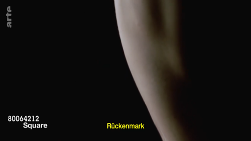kUO3c.png