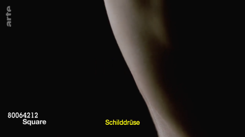 kUOwx.png