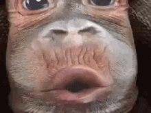 k5ZLH.gif