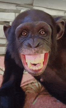 k5129.gif