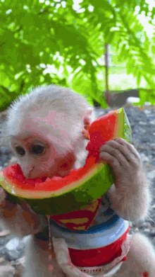 k8aw6.gif