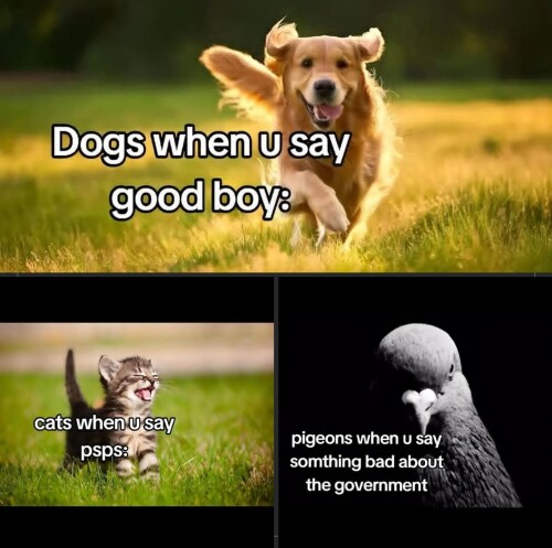 kCN0s.jpg