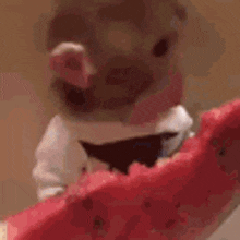 kZvpk.gif