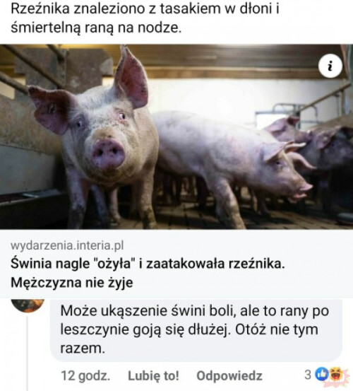 kziJe.jpeg