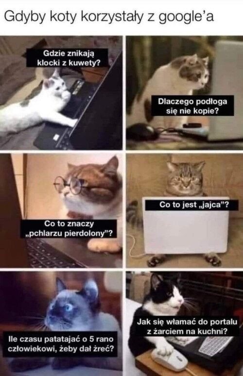 kH1gp.jpg