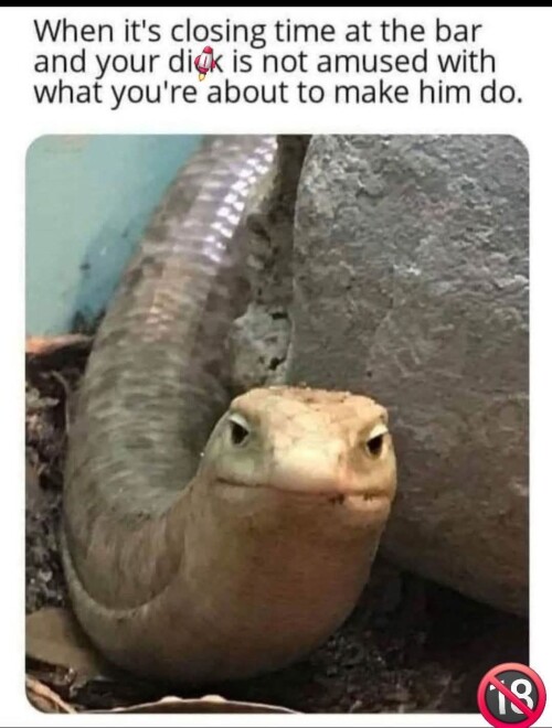 kQvkY.jpg