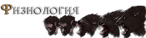 kR3bK.png