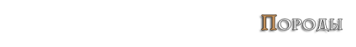 kRaMm.png