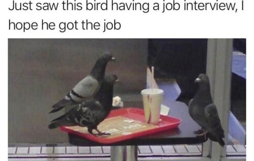 kr0Ob.jpg