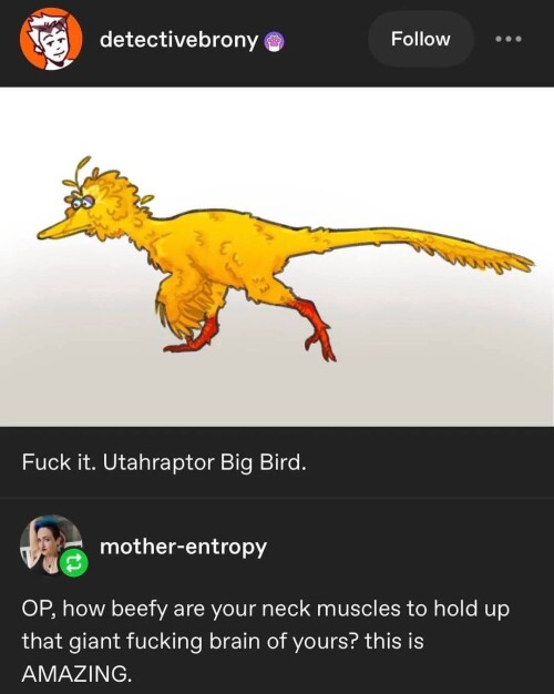 kTeyR.jpg