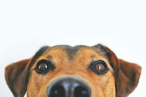 kTjL9.webp