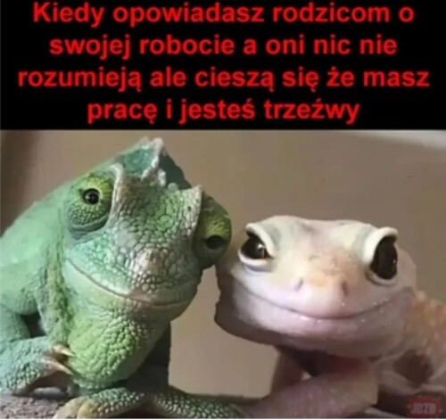 kwzDs.jpg
