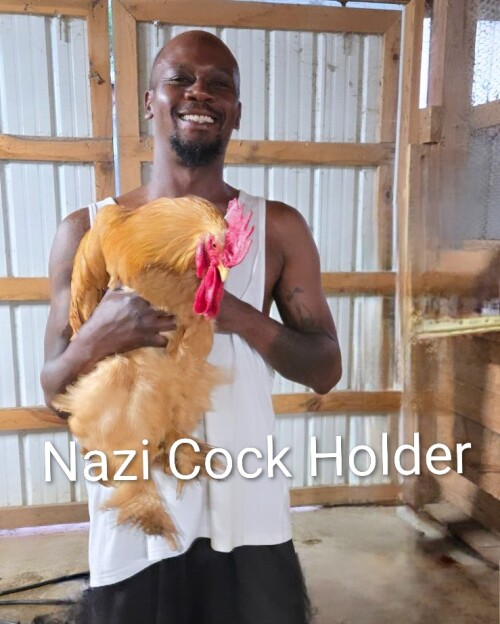 ki9bV.jpg
