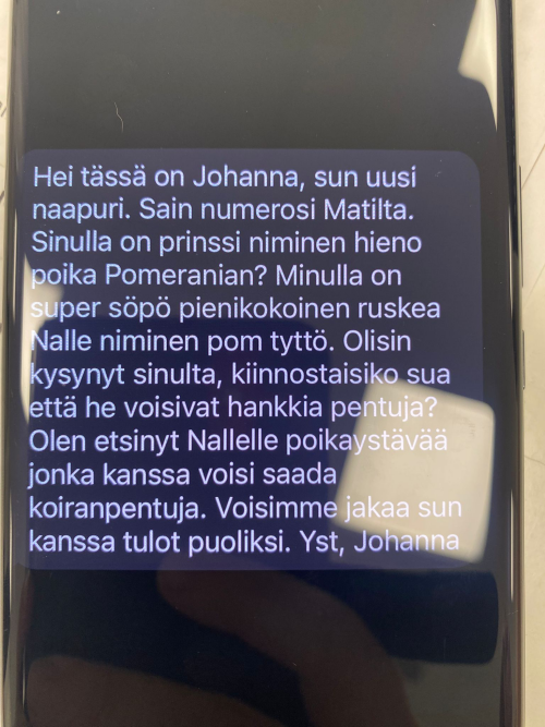 kiGa1.png