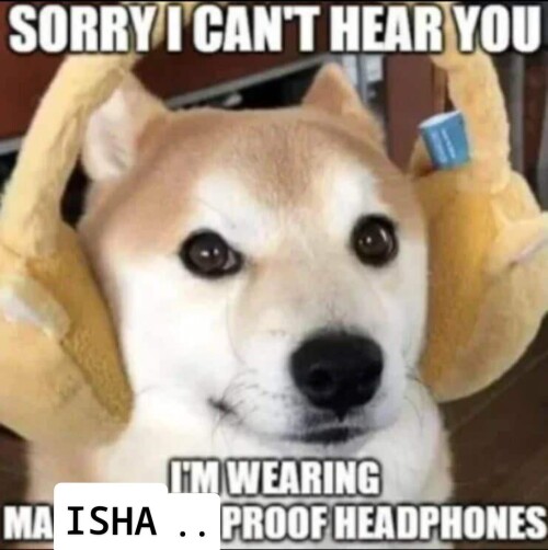 kixMz.jpg