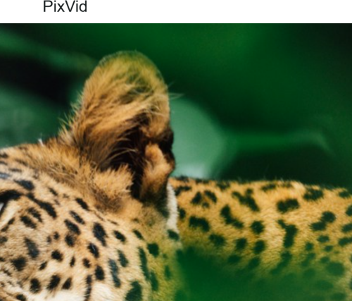 kuUrJ.png