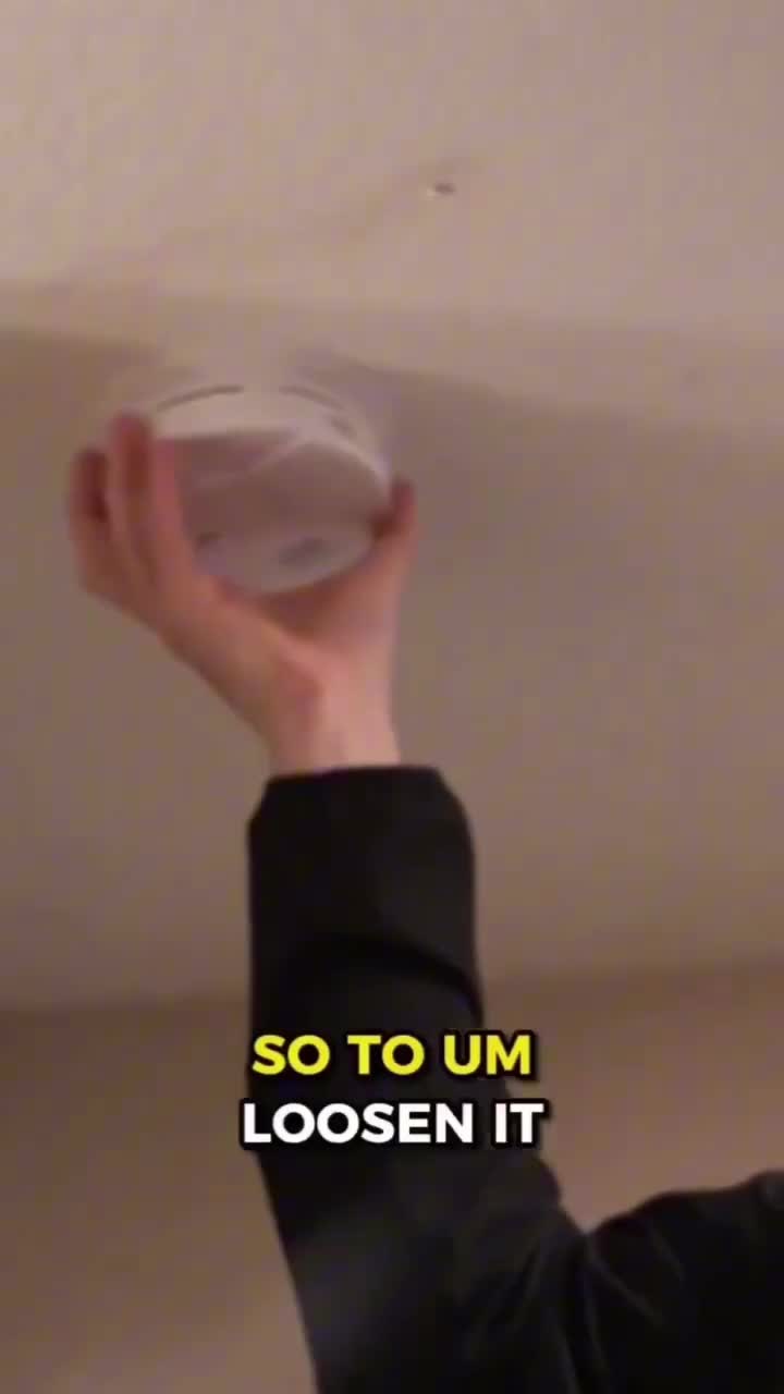 kurl6.mp4