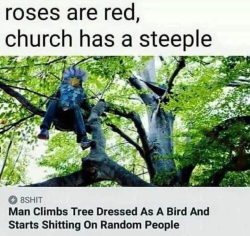 kJEfN.jpg