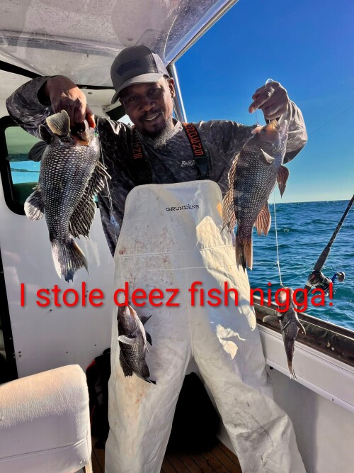 kKKog.jpg