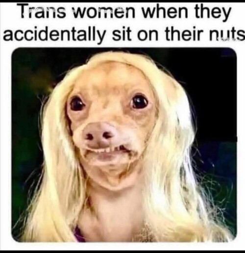 knCWT.jpg