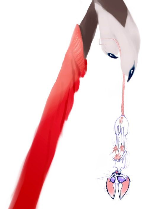 knQAy.png